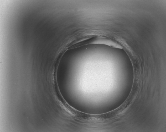 X0000069390585200605262119