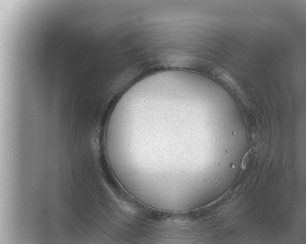 X0000069390586200605262118