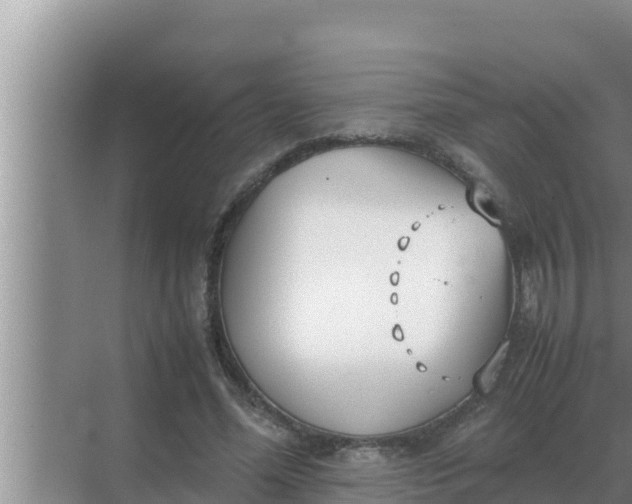 X0000069390588200605262118