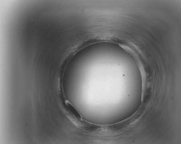 X0000069390589200605262118