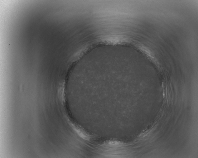 X0000069390590200605262118