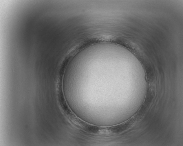 X0000069390591200605262118