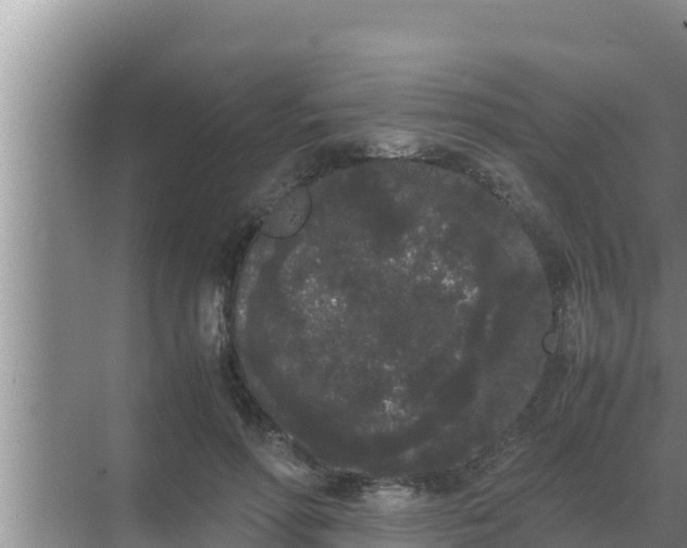 X0000069390598200605262118