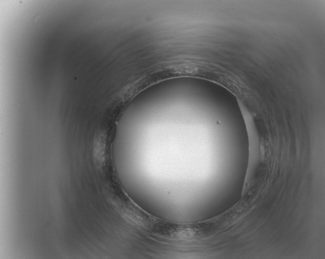 X0000069390600200605262118