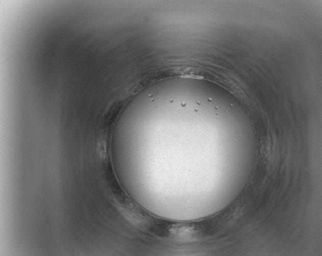 X0000069390602200605262118