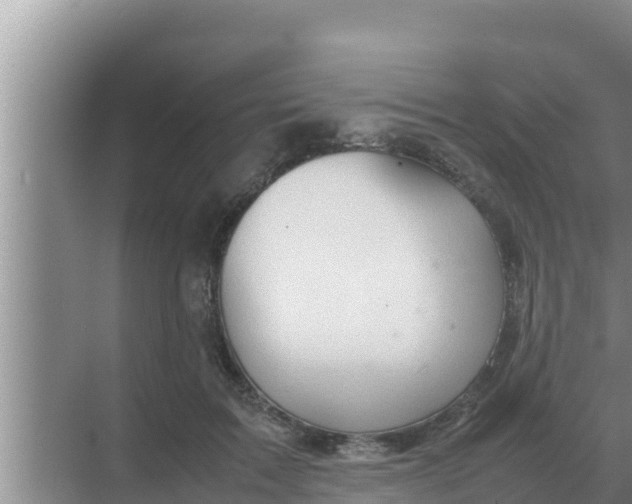 X0000069390603200605262118