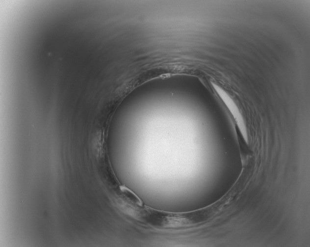 X0000069390605200605262118