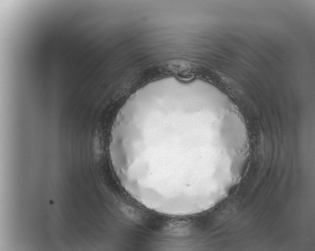 X0000069390606200605262118