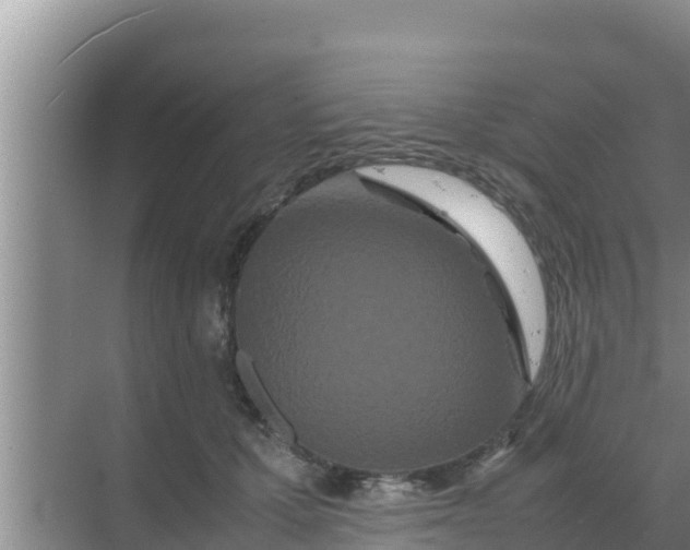 X0000069390607200605262118