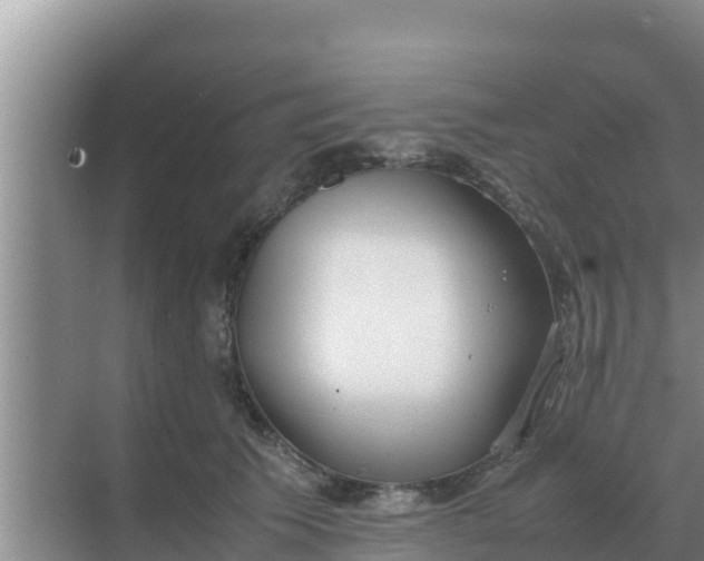 X0000069390609200605262118