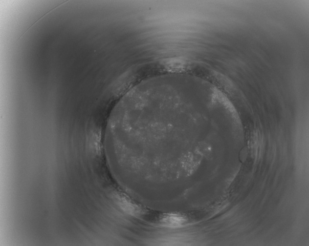 X0000069390610200605262118