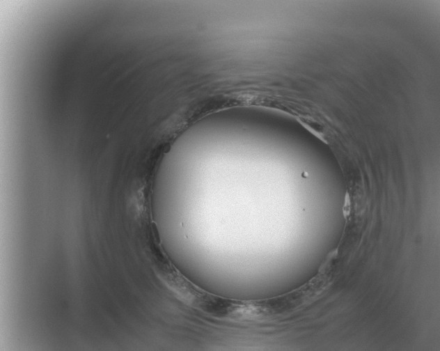 X0000069390611200605262118