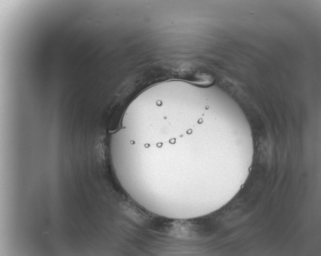 X0000069390612200605262118