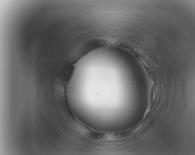 X0000069390613200605262118