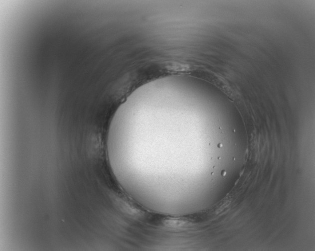 X0000069390614200605262118