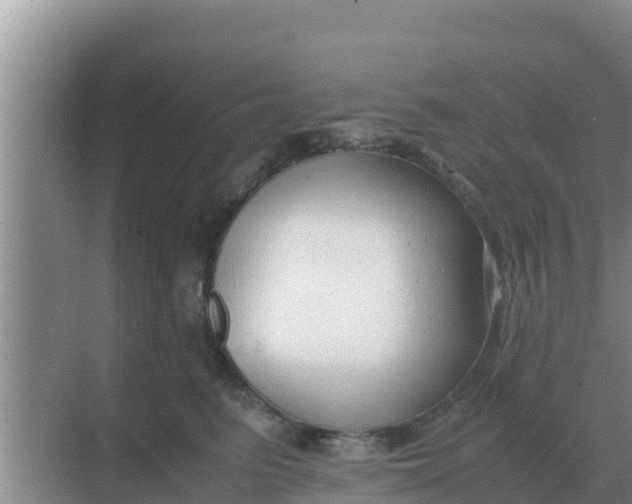 X0000069390615200605262118