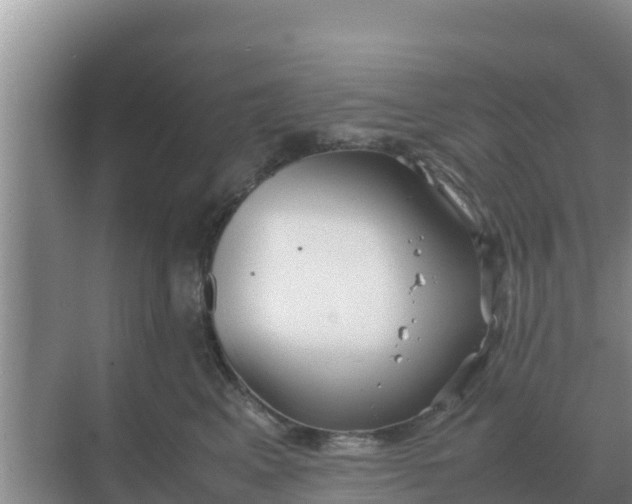 X0000069390617200605262118