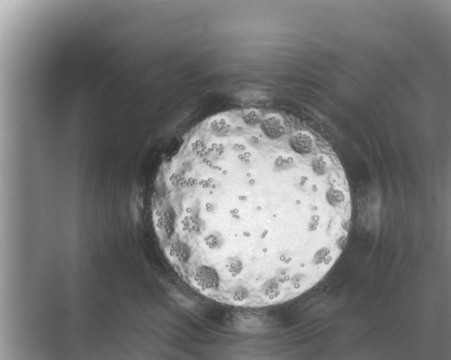 X0000069390618200605262118