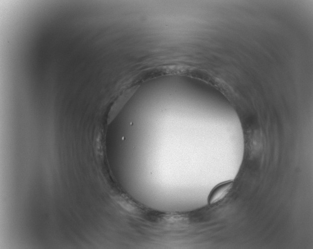 X0000069390619200605262118