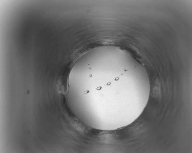 X0000069390620200605262118