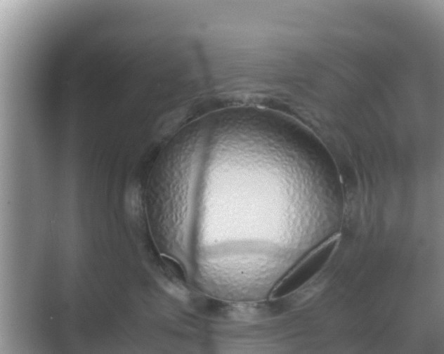 X0000069390623200605262118