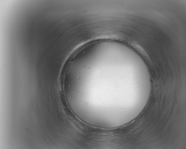 X0000069390628200605262117