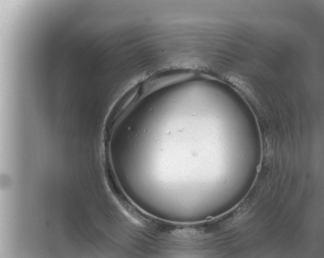 X0000069390630200605262117