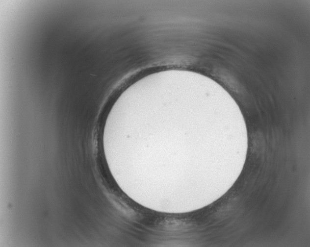 X0000069390632200605262117