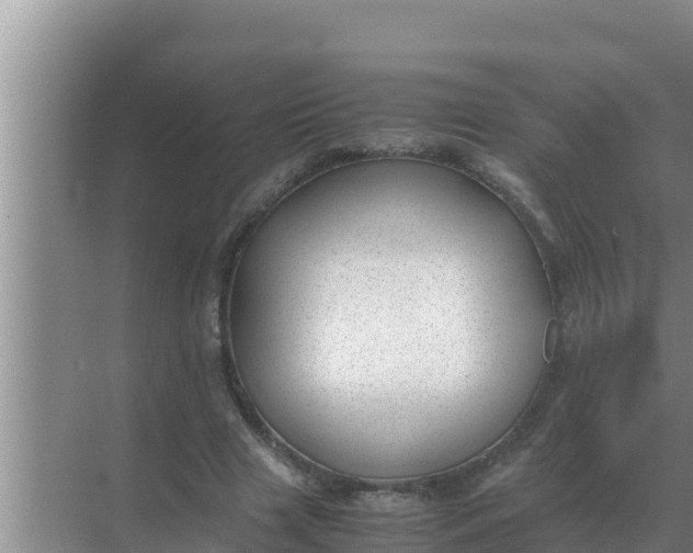 X0000069390633200605262117