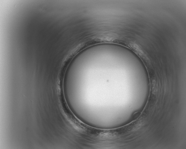 X0000069390634200605262117