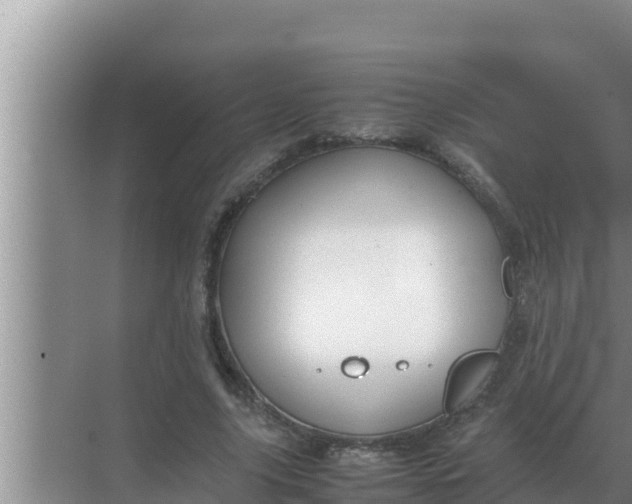 X0000069390635200605262117