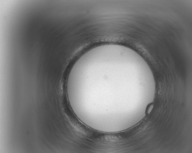 X0000069390636200605262117