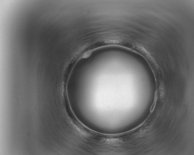 X0000069390637200605262117