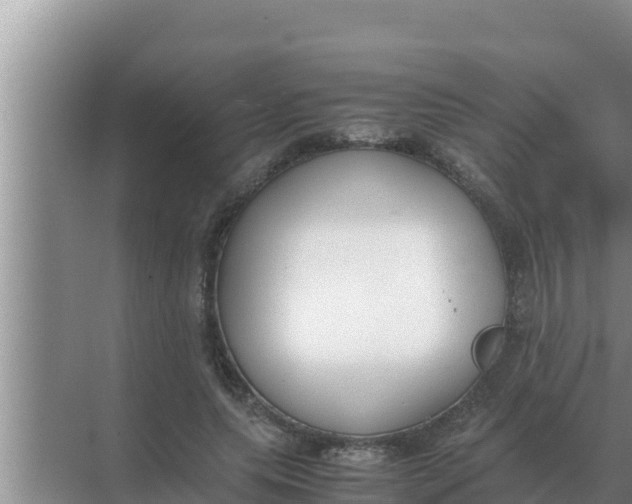 X0000069390639200605262117