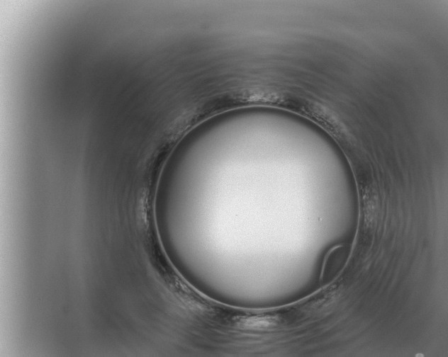 X0000069390643200605262117