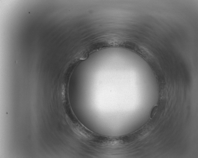 X0000069390646200605262117