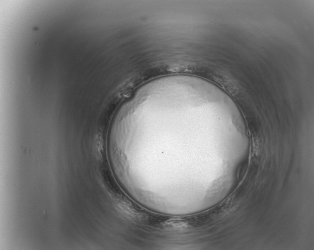 X0000069390648200605262117