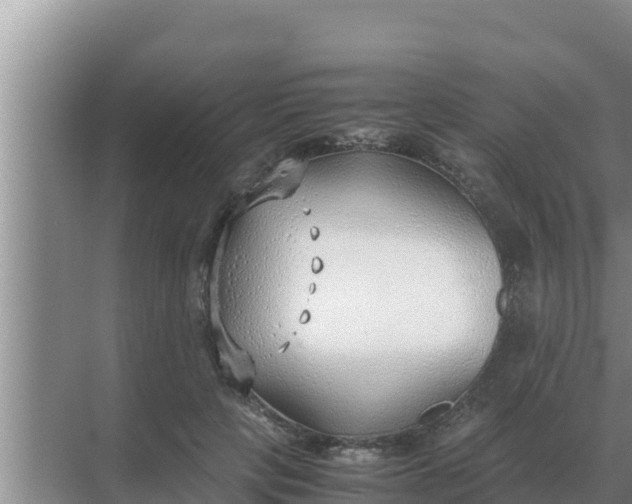 X0000069390649200605262117