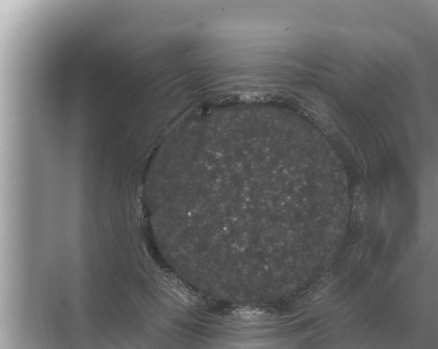 X0000069390650200605262117