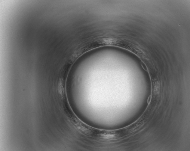 X0000069390651200605262117