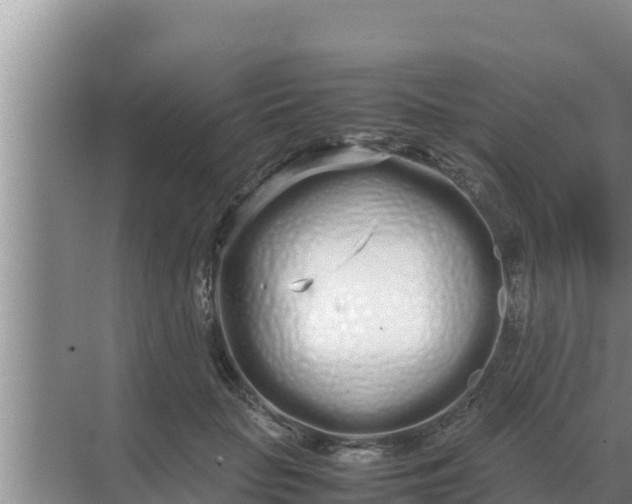 X0000069390653200605262118