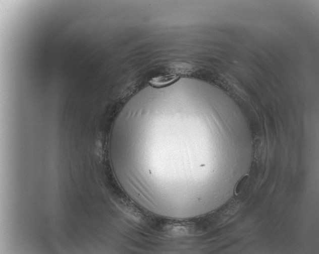 X0000069390655200605262118