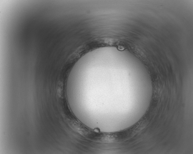 X0000069390656200605262118