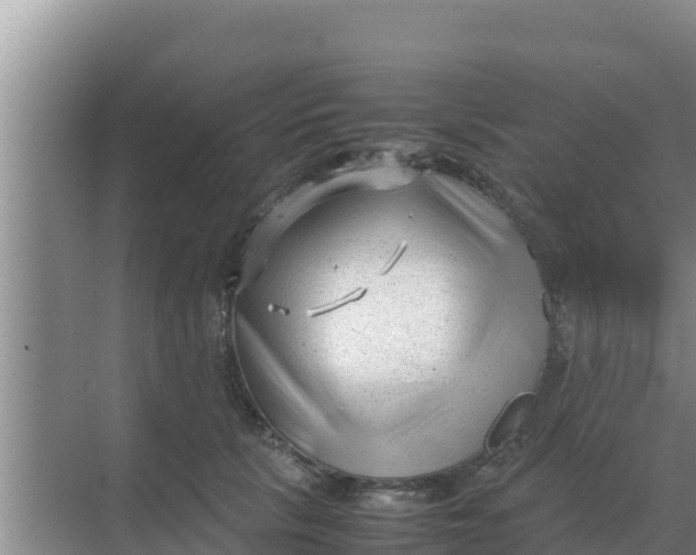 X0000069390657200605262118