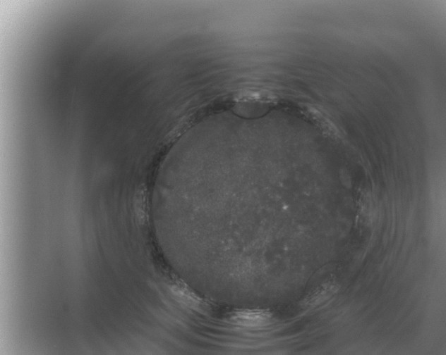 X0000069390659200605262118