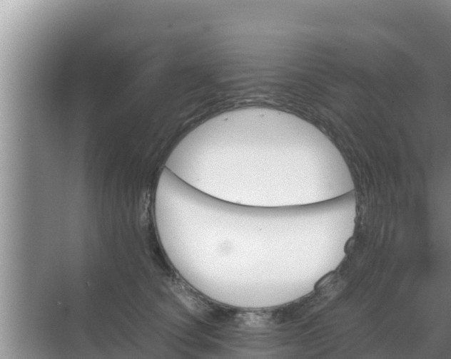 X0000069390660200605262118