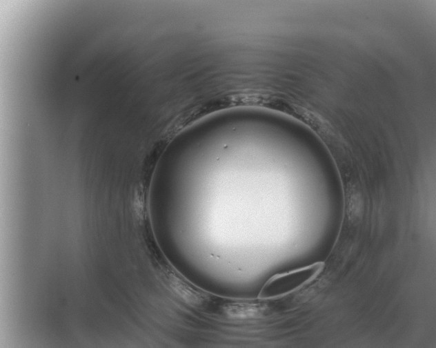 X0000069390661200605262118