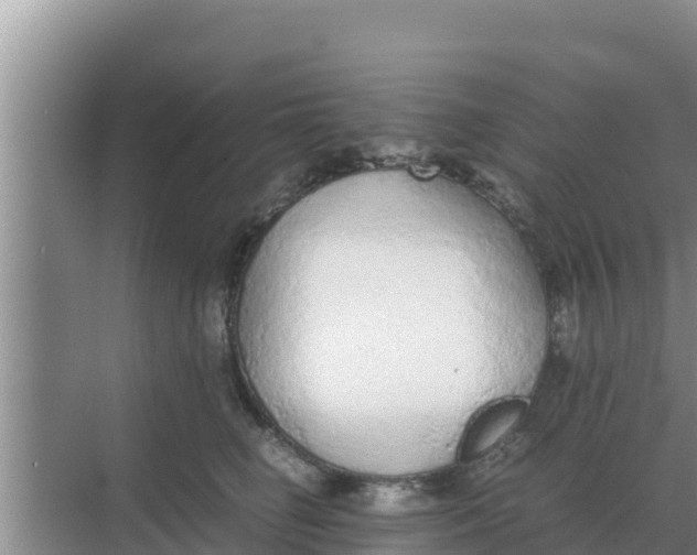 X0000069390662200605262118