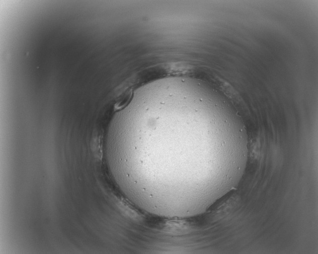 X0000069390666200605262118