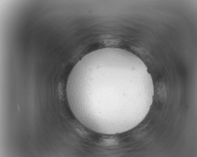 X0000069390667200605262118